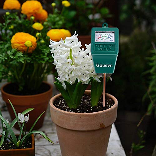 Gouevn 2pack Soil Moisture Meter, Hygrometer Soil Plant Water Meter, Plant Moisture Meter Indoor & Outdoor for Potted Plants, Lawns, Succulent (No Batteries Required)