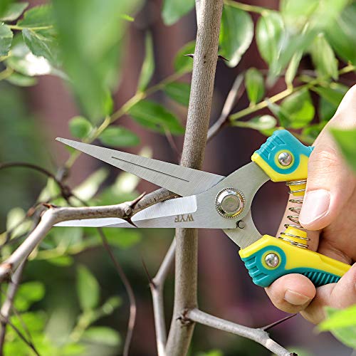 WYF 8.1″Gardening Hand Pruner Pruning Shear with Straight Stainless Steel Blades, Ultra Sharp Garden Scissors for Flowers, Harvesting Fruits & Vegetables,Trimming Plants (Green)