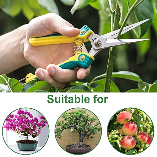 WYF 8.1″Gardening Hand Pruner Pruning Shear with Straight Stainless Steel Blades, Ultra Sharp Garden Scissors for Flowers, Harvesting Fruits & Vegetables,Trimming Plants (Green)