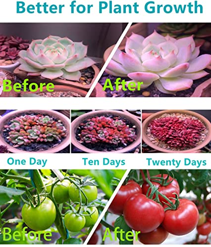 WEDCOL Grow Lights for Indoor Plants Red Blue Spectrum Plant Grow Light Adjustable Gooseneck 135 LED Grow Lamp with 3/9/12H Timer, 10 Dimmable Levels & 3 Switch Modes