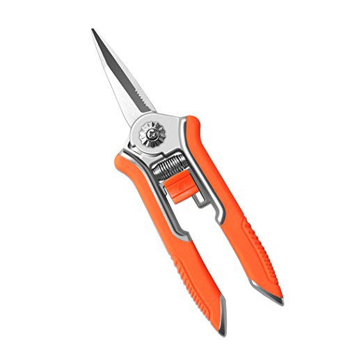 FLORA GUARD 6.5 Inch Micro-Tip Pruning snip Gardening Hand Pruning Shears Trimming Scissors with Stainless Steel(Orange)