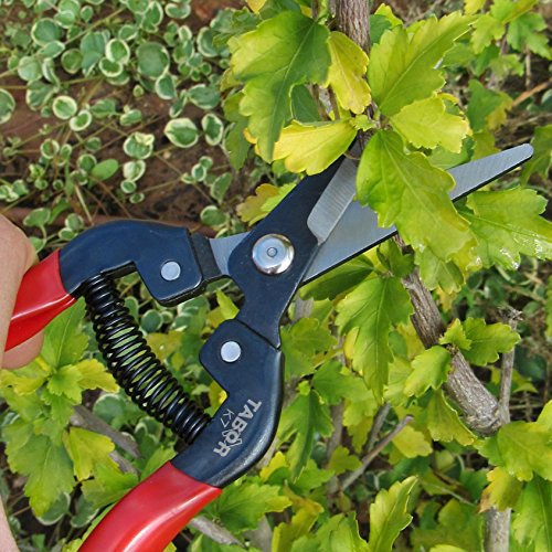 TABOR TOOLS K7A Straight Pruning Shears with Carbon Steel Blades, Florist Scissors, Multi-Tasking Garden Snips for Arranging Flowers, Trimming Plants and Harvesting Herbs, Fruits or Vegetables.