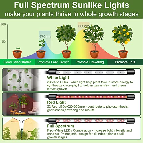 JIRBEEY Grow Lights with Stand for Indoor Plants Full Spectrum,80LEDs Plant Light with 25"-63" Adjustable Tripod, Dimmable Plant Growing Lamp with 4/8/12H Timer