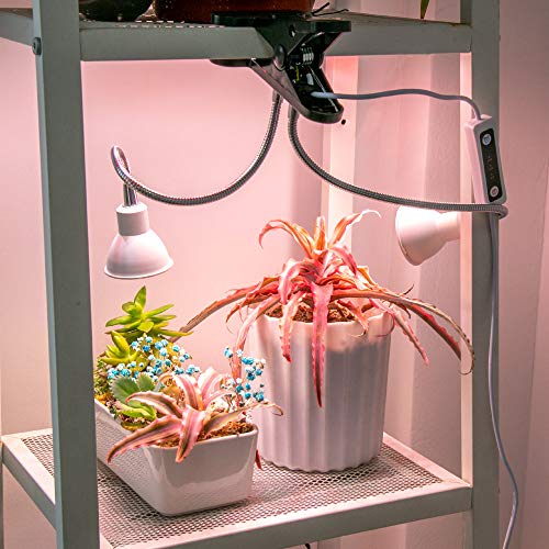 Aceple LED Grow Light, Dual Head Desk Clip Lamp for Indoor Plants with Full Spectrum, Adjustable Gooseneck and Timer Setting(6/10/12H)