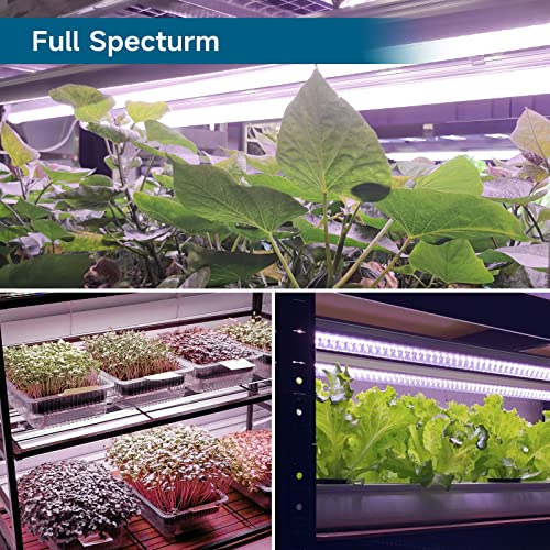 Barrina Grow Light, 96W(4 x 24W, 600W Equivalent), 2ft T8, Super Bright, Full Spectrum Sunlight Plant Light, LED Grow Light Strips, Grow Light Bulbs for Indoor Plants, 4-Pack