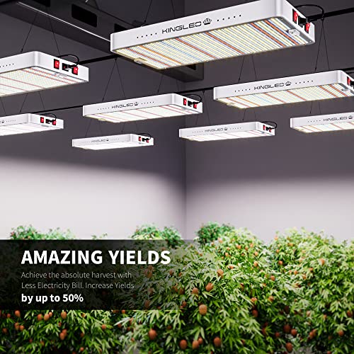KingLED 2023 Newest 1000w LED Grow Lights with LM301B LEDs 3 * 3 ft Coverage Full Spectrum Grow Lights for Indoor Hydroponic Plants Greenhouse Growing Lamps Veg Bloom Daul Mode