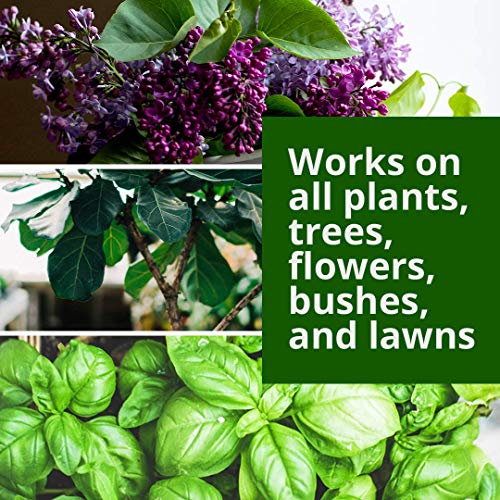 Humboldts Secret Base A & B Bundle – World's Best Base Nutrient System – Liquid Nutrient/Fertilizer for Outdoor & Indoor Plants – Supports Vegetative and Flowering Stages of Plants – Set of 8 Ounces