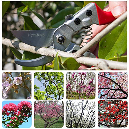 HyleJhJy Pruning Shears with Stainless SK5 Steel Blades+Straight Tip Gardening Shears Garden Shears Garden Clippers Florist Scissors Hand Pruners Garden Tools Gardening Tools Set,Red