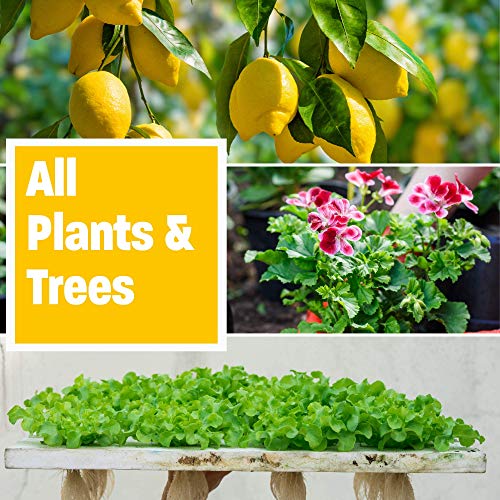 Humboldts Secret Golden Tree: Best Plant Food for Plants & Trees - All-in-One Concentrated Organic Additive - Vegetables, Flowers, Fruits, Lawns, Roses, Tomatoes & More (2 Ounce)