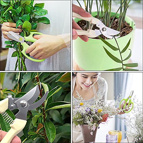 Sunnyac Garden Pruning Shears Scissors, 2 Pack Gardening Tools Hand Pruners, Floral Secateurs, Tree Trimmer, Clippers for Cutting Flowers and Plants, Trimming Branches, Bonsai, Fruits Picking (Color1)