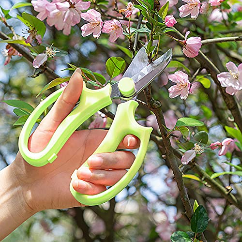 Sunnyac Garden Pruning Shears Scissors, 2 Pack Gardening Tools Hand Pruners, Floral Secateurs, Tree Trimmer, Clippers for Cutting Flowers and Plants, Trimming Branches, Bonsai, Fruits Picking (Color1)