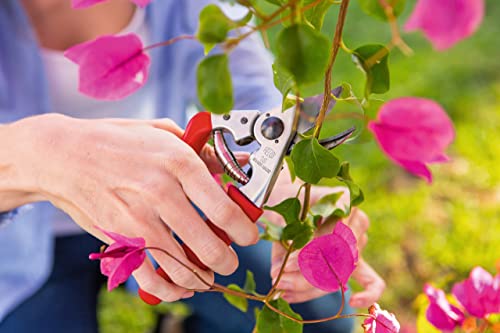 Felco Pruning Shears (F 15) - High Performance Swiss Made One-Hand Garden Pruner with Steel Blade