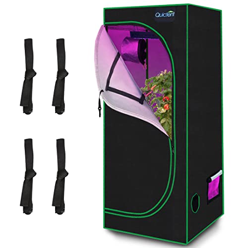 Quictent Approved 24"x24"x55" Reflective Mylar Hydroponic Grow Tent with Obeservation Window and Floor Tray for Indoor Plant Growing 2’x2’