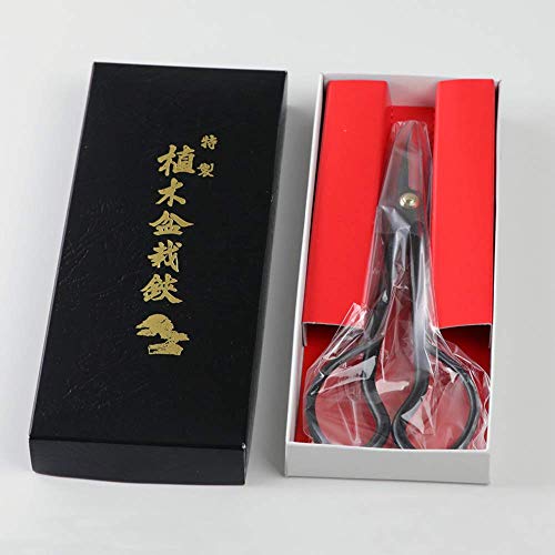 Hanafubuki Wazakura Satsuki Bonsai Scissors Made in Japan 7 inch (180 mm), Japanese Bonsai Garden Tools, Hasami Pruning Shears