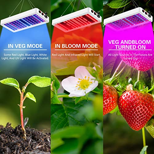 LED SERWING 1000W Grow Lights for Indoor Plants, Full Spectrum Plant Grow Light for Seed Starting, Vegetable and Flower