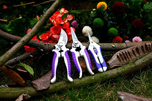 Garden Pruning Shears,Gardening Tools Bypass Hand Pruner Stainless Steel Gardening Scissor,Tree Cutter Clippers Secateur Trimmer Kit Set of 3,Purple