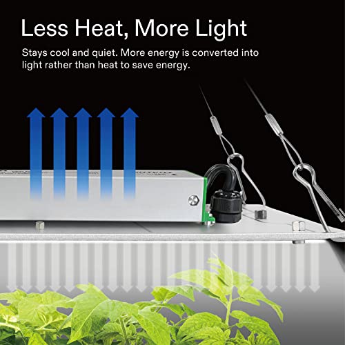 VIVOSUN VS1000E LED Grow Light, 2 x 2 Ft. LED Plant Light with Samsung Diodes and Sunlike Full Spectrum for Indoor Plants, Seedlings, Vegetables, and Flowers