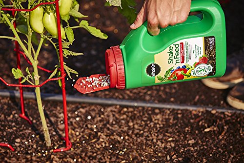 Miracle-Gro Shake 'N Feed Tomato, Fruit & Vegetable Plant Food, Plant Fertilizer, 4.5 lbs.