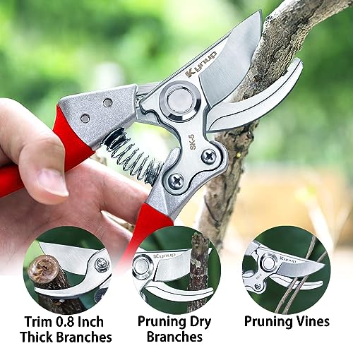 Kynup Pruning Shears for Gardening, Garden Shears Heavy Duty, Professional Bypass Pruner Hand Shears, Tree Trimmers Secateurs, Garden Clippers for Plants, Hedge Shears, Garden Tools (Red)