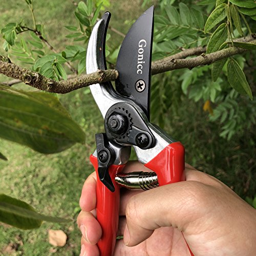 gonicc 8" Professional Sharp Bypass Pruning Shears (GPPS-1002), Tree Trimmers Secateurs,Hand Pruner, Garden Shears,Clippers For The Garden, Bonsai Cutters, Loppers