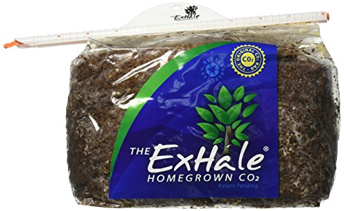 Exhale - Homegrown CO2 for Your Indoor Plants