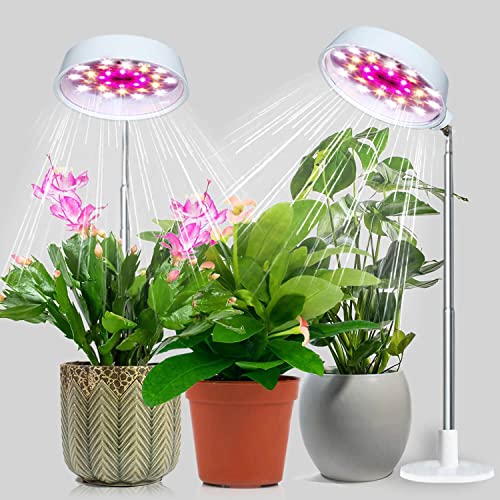 Abonnyc Grow Light Plant Growing Lamp Full Spectrum with White Red LEDs for Indoor Plants, Height Adjustable 7-22 Inch,Auto On Off Timing Idea for Small Plant Light,Seedlings, Plant Shelf