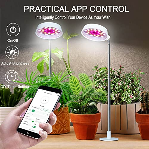 Abonnyc Grow Light Plant Growing Lamp Full Spectrum with White Red LEDs for Indoor Plants, Height Adjustable 7-22 Inch,Auto On Off Timing Idea for Small Plant Light,Seedlings, Plant Shelf