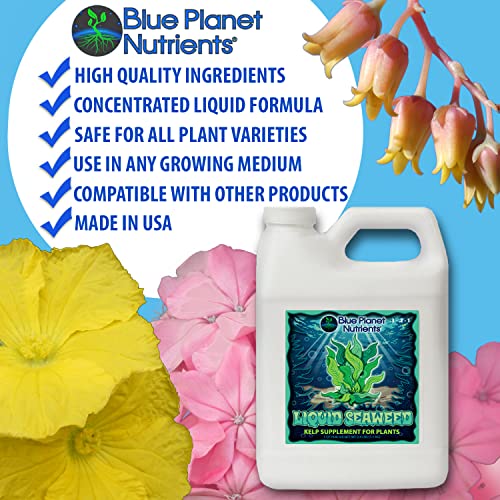 Liquid Seaweed for Plants (32 oz) Quart | Concentrated Liquid Kelp Supplement | Makes UP to 470 GALLONS | for All Plants & Gardens | Blue Planet Nutrients