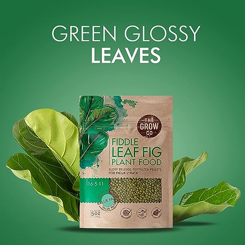 Fiddle Leaf Fig Tree Plant Food - Slow Release Fertilizer Pellets for Potted Figs - Steady Nutrients to Grow Healthy Indoor and Outdoor Ficus Plants (5 oz)