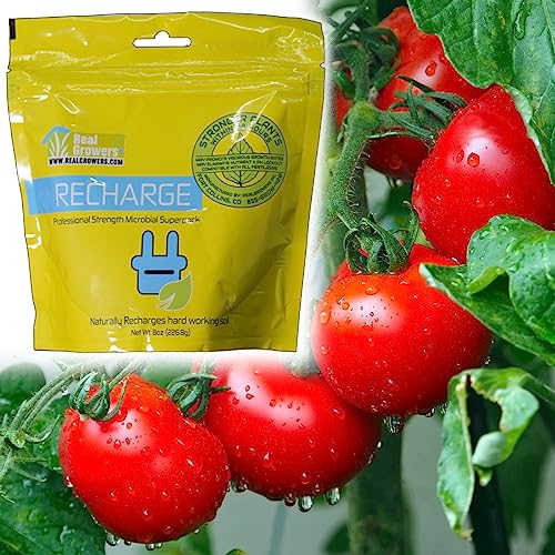 Real Growers Recharge - Natural Plant Growth Stimulant - (16oz)