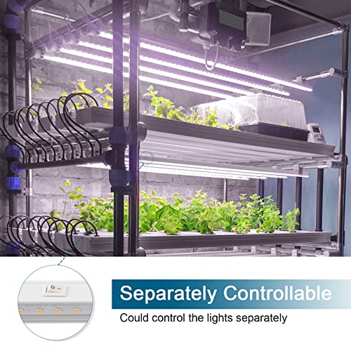 Barrina T5 Grow Lights, Full Spectrum, 2ft 80W (8 x 10W, 500W Equivalent), LED Grow Light Bulbs for Indoor Plants, Greenhouse, Plug and Play, 8-Pack
