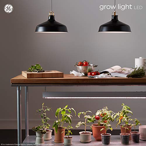 GE Grow Light LED Indoor Flood Light Bulb, Balanced Light Spectrum for Seeds and Greens, 9 Watts, Medium Base (Pack of 1)