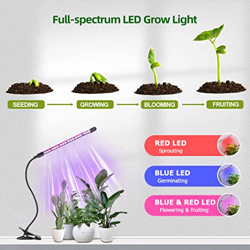 LED Grow Light for Indoor Plants: Full Spectrum Clip Lamp with Gooseneck - Garden Growing Lighting with Timer - Small Plant Lamp for House Office