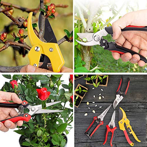 KOTTO 4 Pack Professional Bypass Pruning Shears, Stainless Steel Cutter Clippers, Sharp Hand Pruner Secateurs, Garden Trimmer Scissors Kit with Storage Bag and Protection Gloves