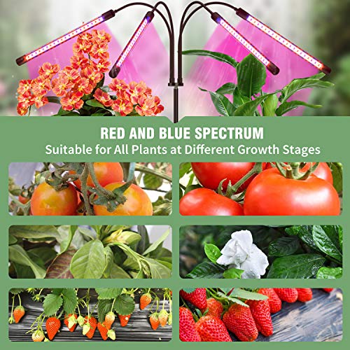 Grow Light with Stand, FRENAN Grow Lights for Indoor Plants with Red Blue Spectrum, 10 Dimmable Brightness, 4/8/12H Timer, 3 Switch Modes, Adjustable Gooseneck, Suitable for Various Plants Growth