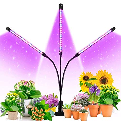 Grow Light, Ankace 3 Head Timing, 5 Dimmable Levels Plant Grow Lights for Indoor Plants with Red Blue Spectrum, Adjustable Gooseneck, 3 6 12H Timer, 3 Switch Modes