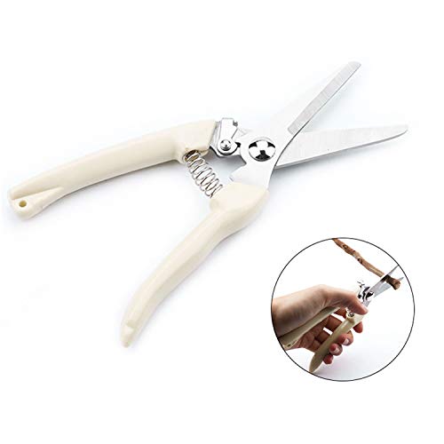 2PC Stainless Steel Pruning and Cutting Multifunctional Horticultural Scissors Orchard Flower Branch Picking Tree Pruning and Garden Branch Cutting Tool