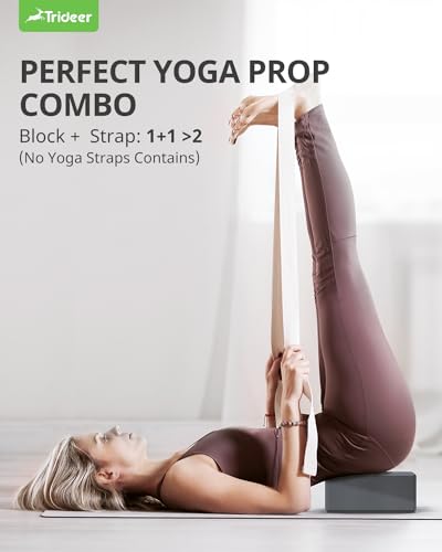 Premium EVA Foam Yoga Blocks 2-Pack (963 Gray)