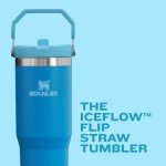 Stanley IceFlow Stainless Steel Tumbler - Ash, 30OZ