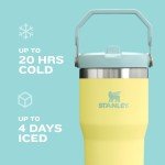 Stanley IceFlow Stainless Steel Tumbler - Ash, 30OZ