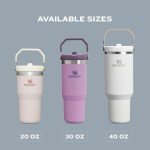 Stanley IceFlow Stainless Steel Tumbler - Ash, 30OZ