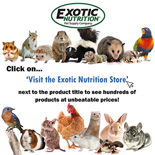 Exotic Nutrition Zoopro High Protein Supplement (8.82 oz.) - Protein Booster for Sugar Gliders