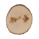 Extra Large Walnut Hollow Basswood Country Round for DIY