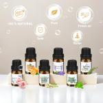 Trulloyoo Candle Making Kit with Beeswax and Essential Oils