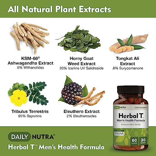 DailyNutra Herbal T (Parent)
