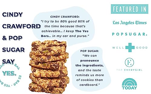 YES Bar – Salted Maple Pecan – Plant Based Protein, Decadent Snack Bar – Vegan, Paleo, Gluten Free, Dairy Free, Low Sugar, Healthy Snack, Breakfast, Low Carb, Keto Friendly (Pack of 6)