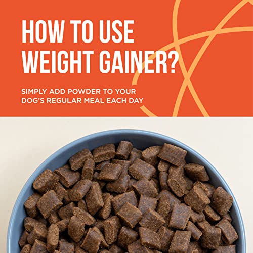PET CARE Sciences Dog Weight Gainer - Weight Gain Supplements for Dogs - Canine and Dog Muscle Builder - Dog Protein Powder - High Calorie Dog Food Supplement - Made in The USA