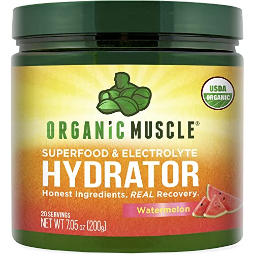 Post Workout Organic Electrolyte Powder - Natural Energy Booster with 16 Organic Superfoods, Antioxidants - Organic Muscle Dehydration, Fatigue, Muscle Recovery Intra Workout Support & Replenisher