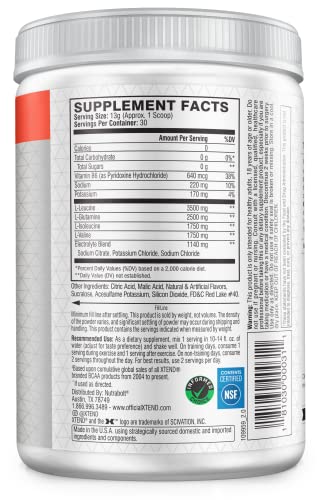 XTEND Original BCAA Powder Strawberry Kiwi Splash | Sugar Free Post Workout Muscle Recovery Drink with Amino Acids | 7g BCAAs for Men & Women | 30 Servings