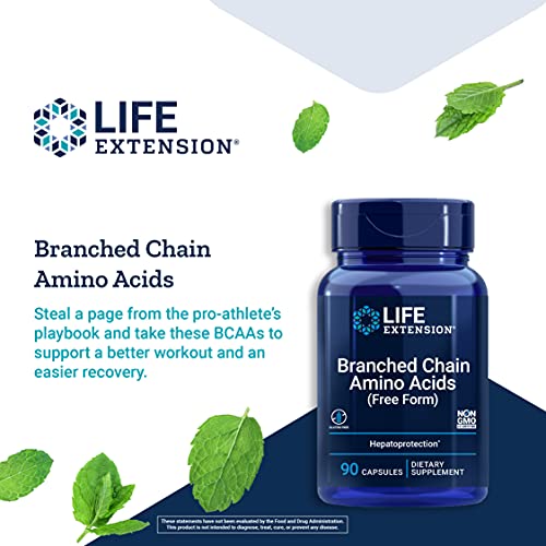 Life Extension Branched Chain Amino Acids - BCAA Supplement - Essential Nutrition L-Leucine, L-Isoleucine, L-Valine for Muscle Recovery Support after Workout - Gluten & GMO Free - 90 Capsules